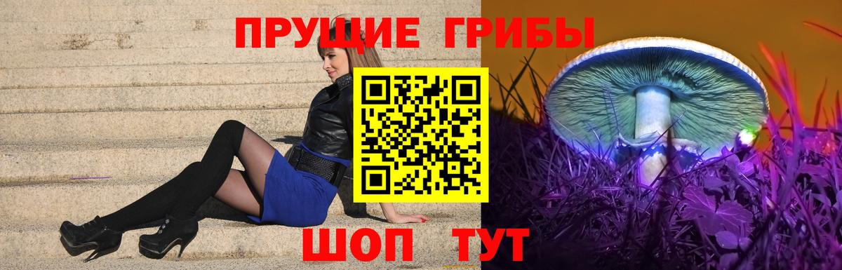 Выкса  Галлюциногенные грибы Psilocybe  наркошоп  Вход с VPN 