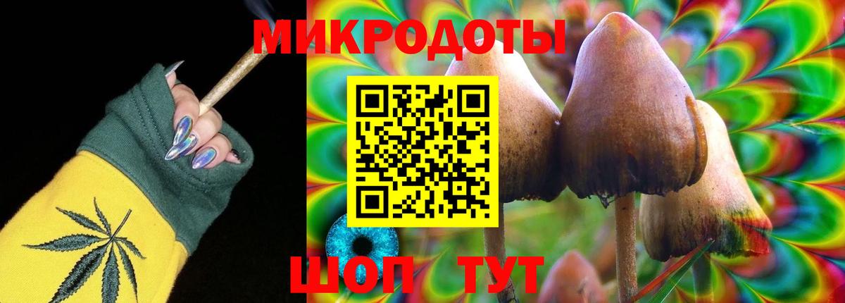 Галлюциногенные грибы мицелий Выкса